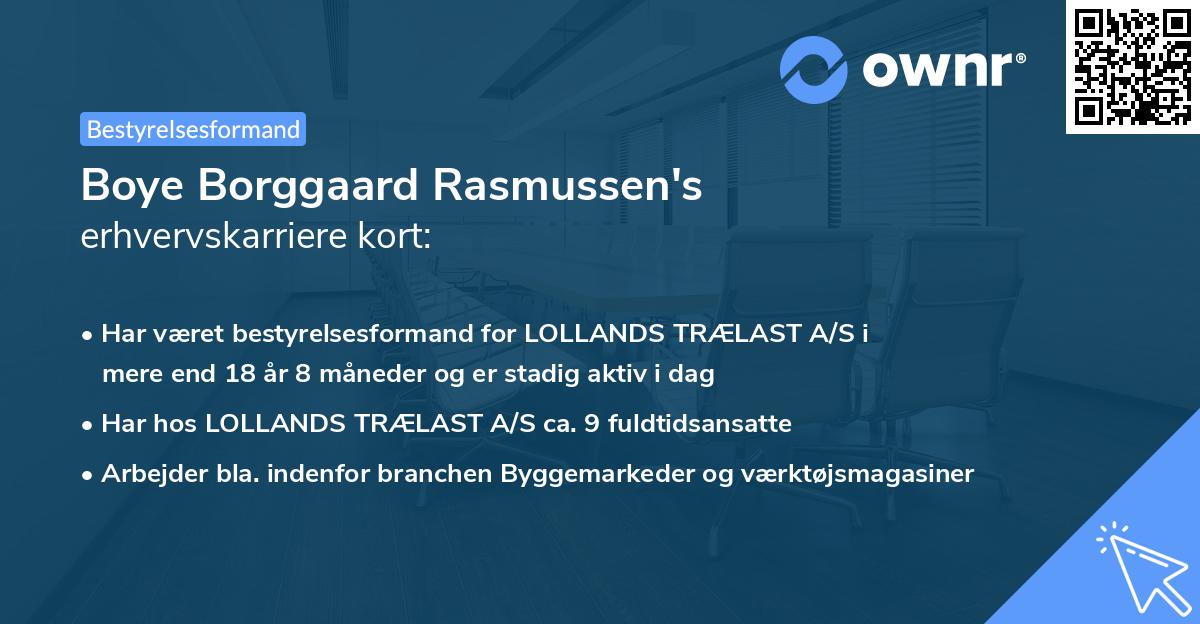 Boye Borggaard Rasmussen's erhvervskarriere kort