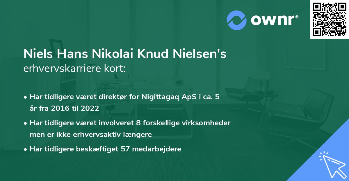 Niels Hans Nikolai Knud Nielsen's erhvervskarriere kort