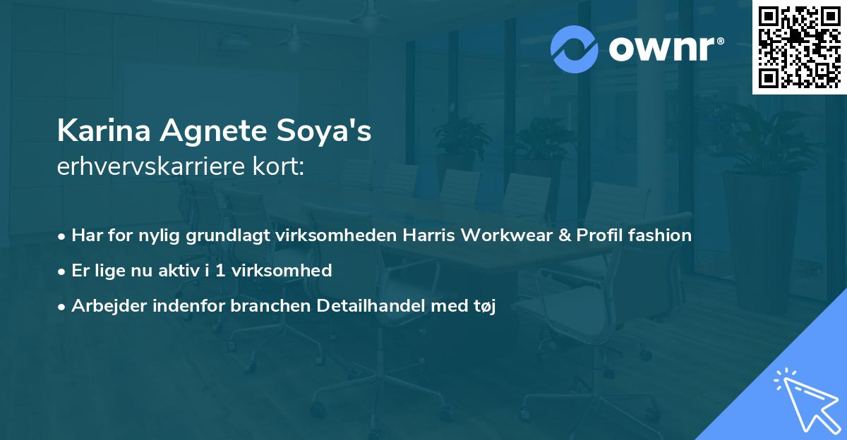 Karina Agnete Soya's erhvervskarriere kort