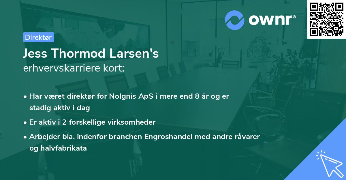 Jess Thormod Larsen's erhvervskarriere kort
