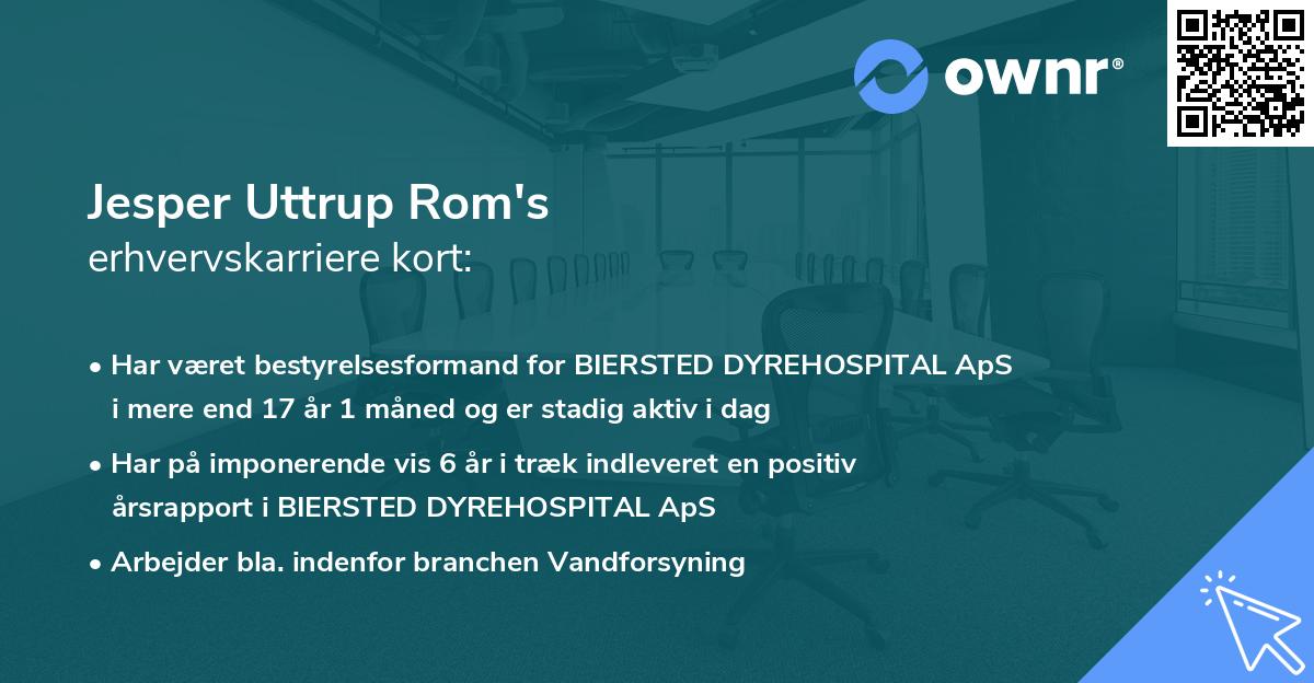 Jesper Uttrup Rom's erhvervskarriere kort