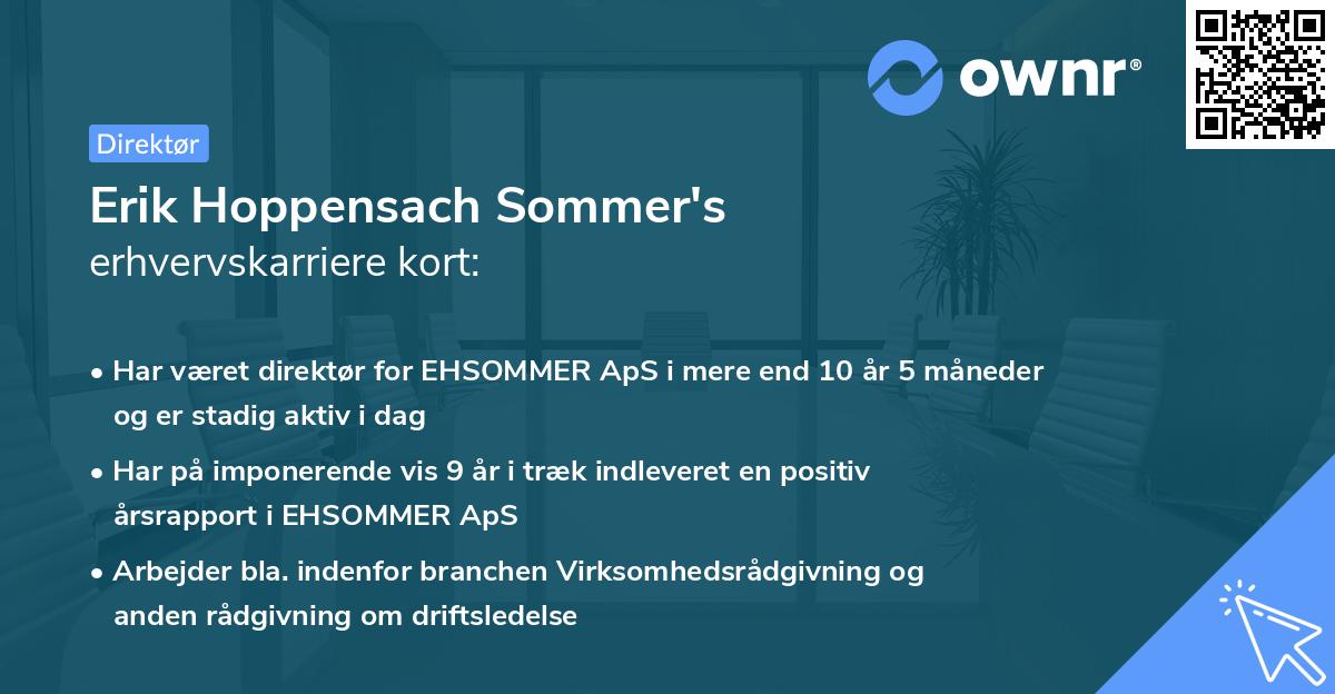 Erik Hoppensach Sommer's erhvervskarriere kort