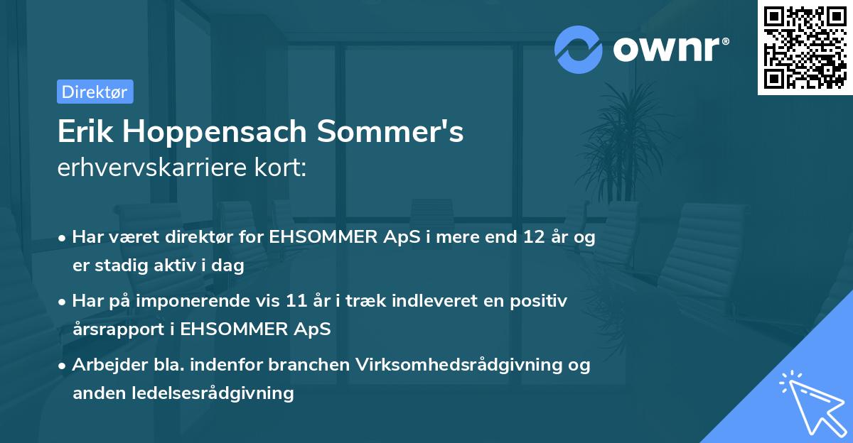 Erik Hoppensach Sommer's erhvervskarriere kort