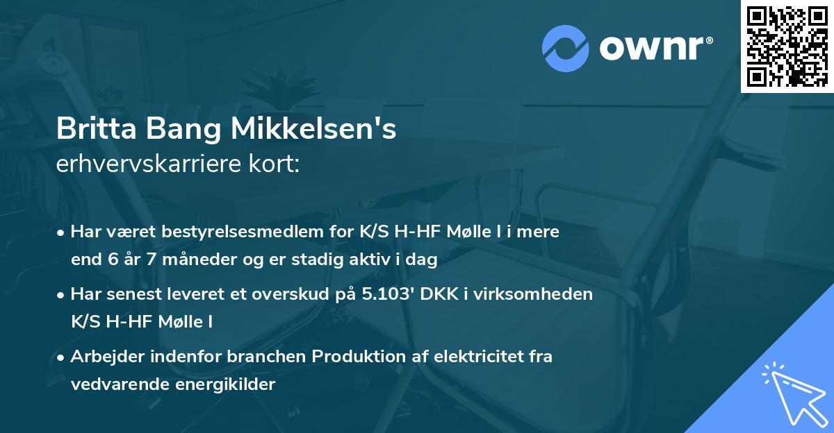 Britta Bang Mikkelsen's erhvervskarriere kort