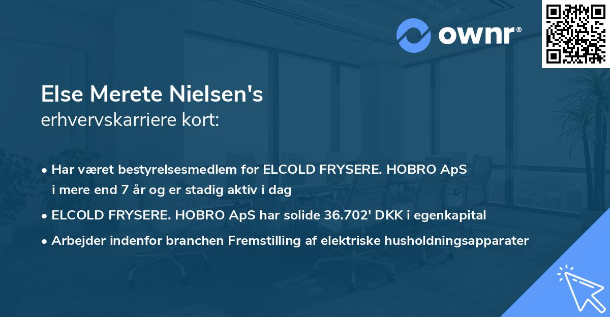 Else Merete Nielsen's erhvervskarriere kort