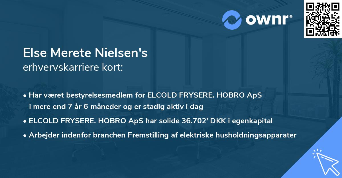Else Merete Nielsen's erhvervskarriere kort