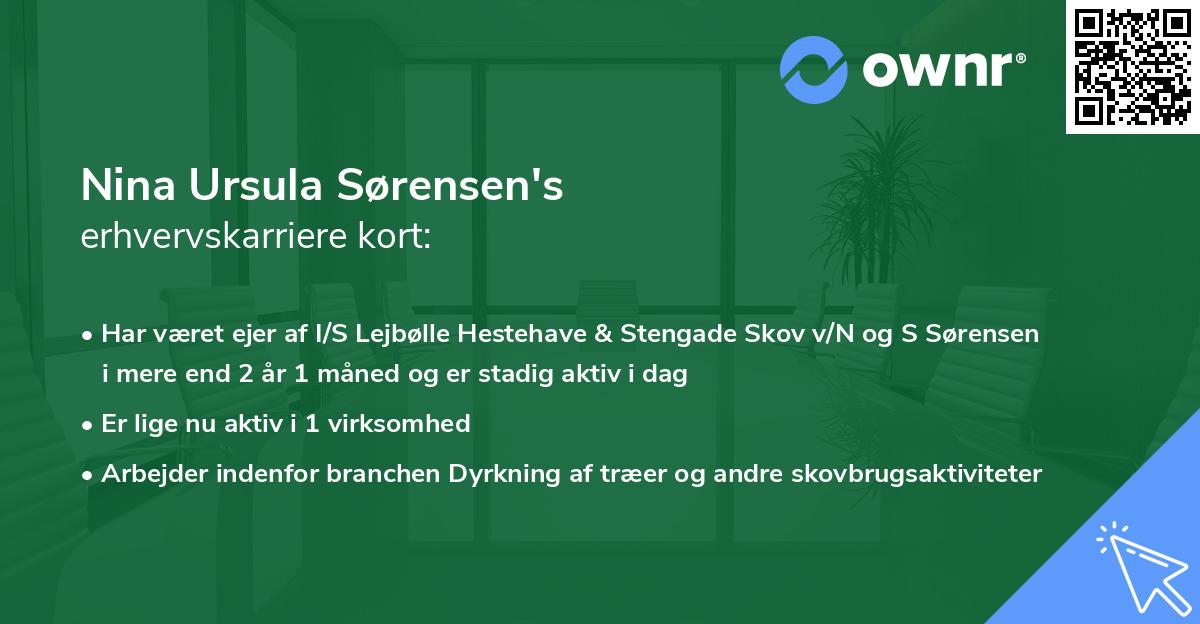 Nina Ursula Sørensen's erhvervskarriere kort