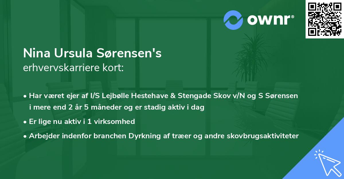 Nina Ursula Sørensen's erhvervskarriere kort