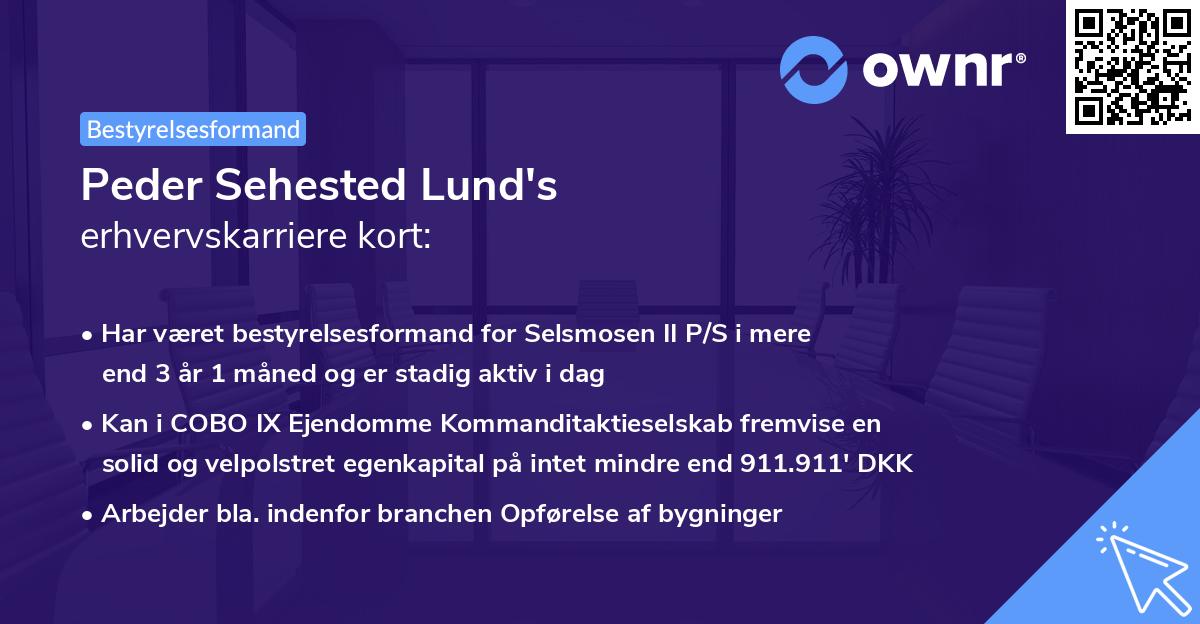 Peder Sehested Lund's erhvervskarriere kort