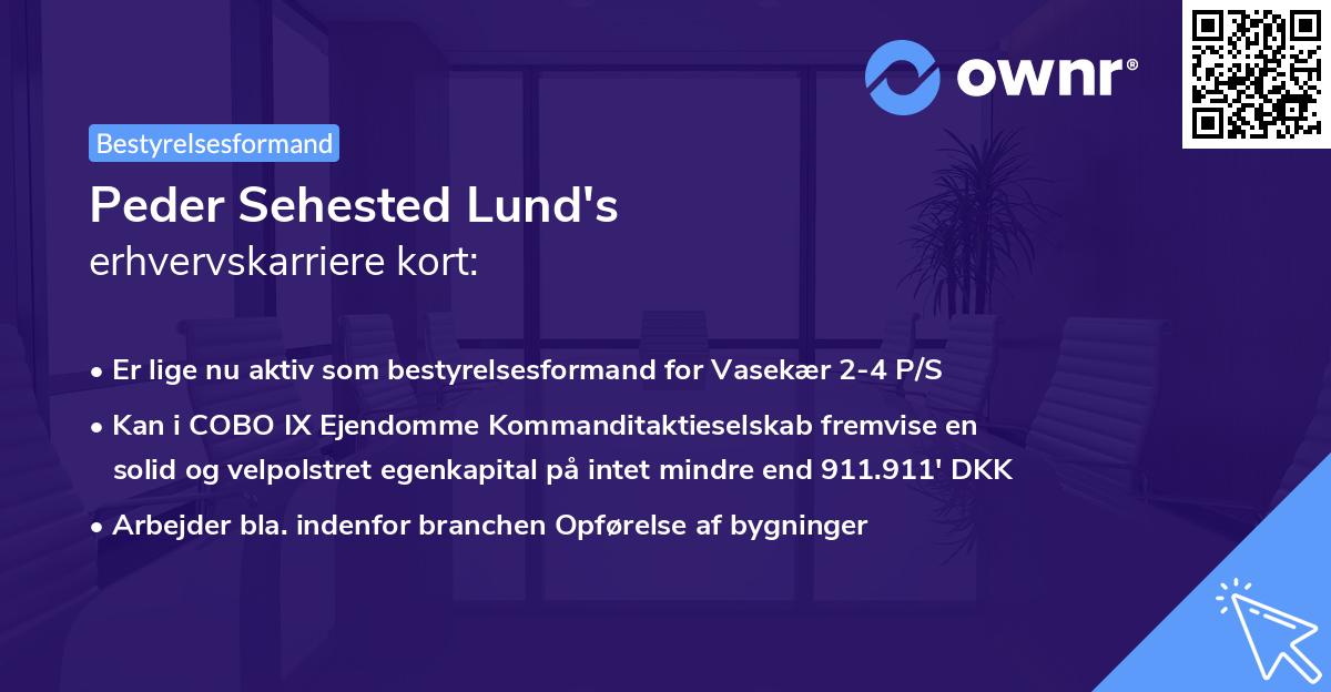 Peder Sehested Lund's erhvervskarriere kort