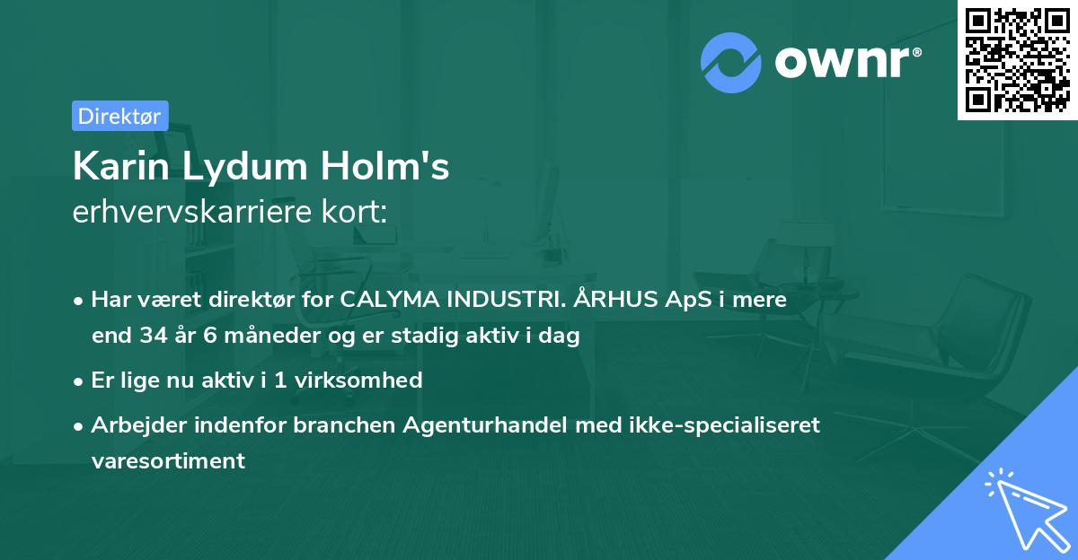 Karin Lydum Holm's erhvervskarriere kort