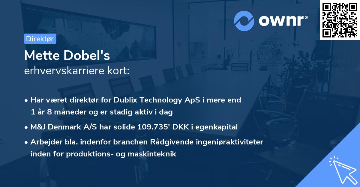Mette Dobel's erhvervskarriere kort
