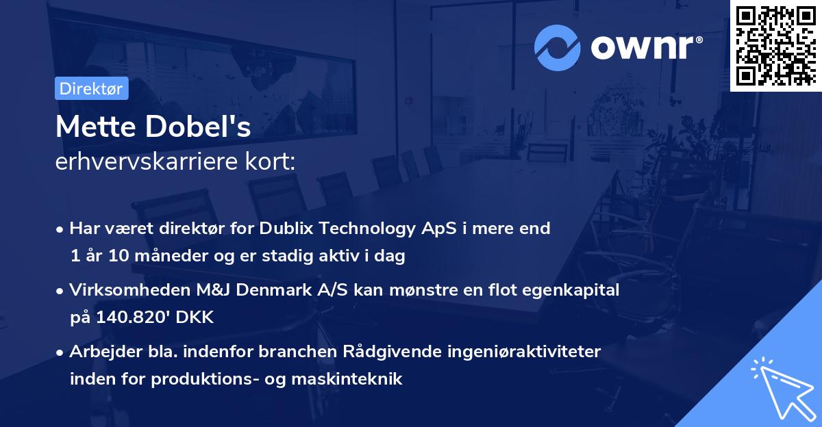 Mette Dobel's erhvervskarriere kort