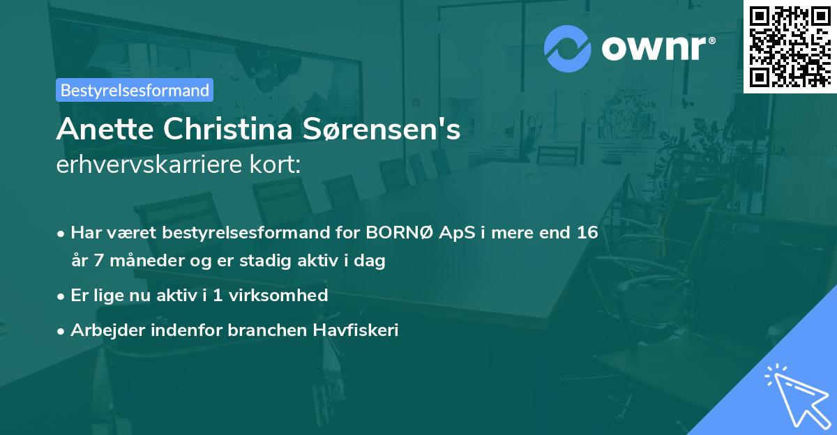 Anette Christina Sørensen's erhvervskarriere kort