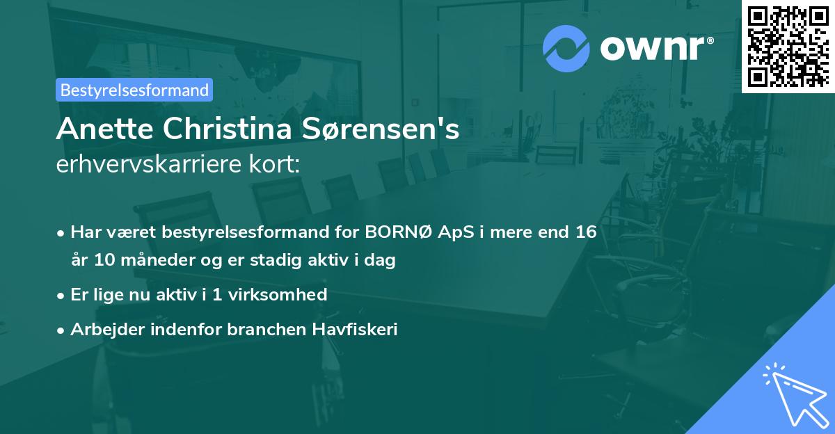 Anette Christina Sørensen's erhvervskarriere kort