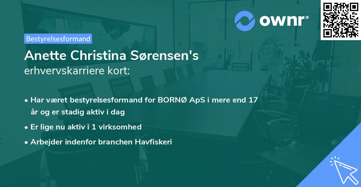 Anette Christina Sørensen's erhvervskarriere kort