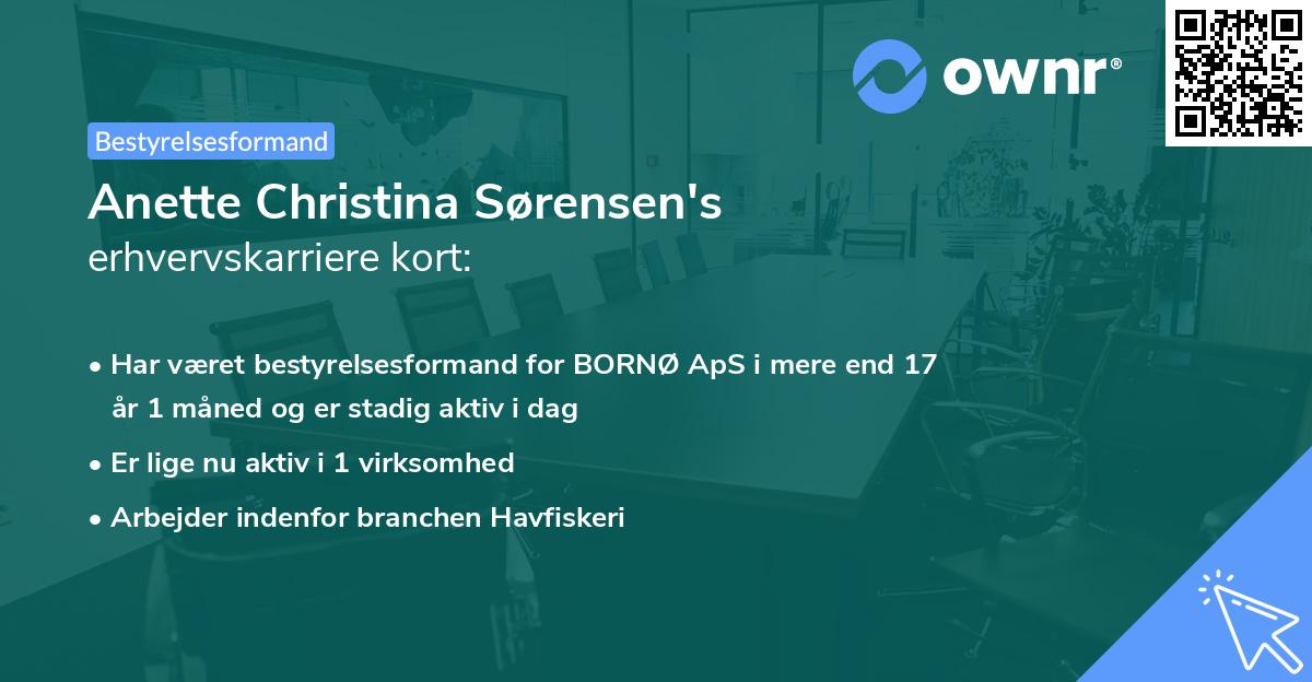 Anette Christina Sørensen's erhvervskarriere kort