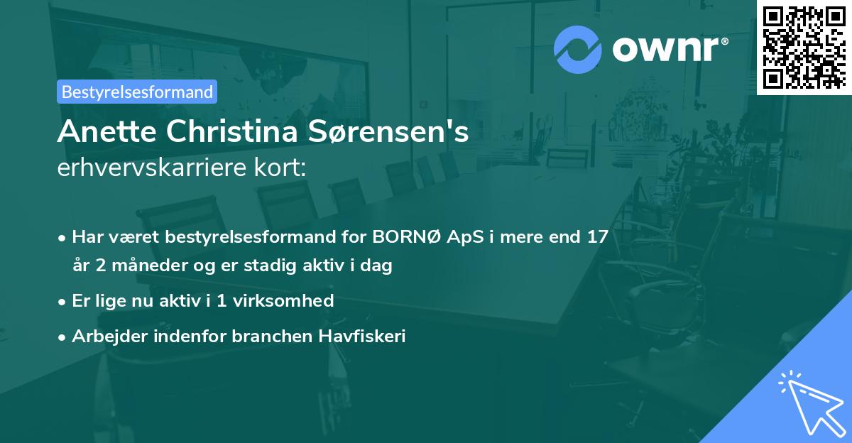 Anette Christina Sørensen's erhvervskarriere kort