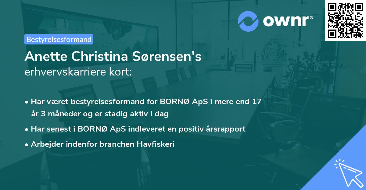 Anette Christina Sørensen's erhvervskarriere kort
