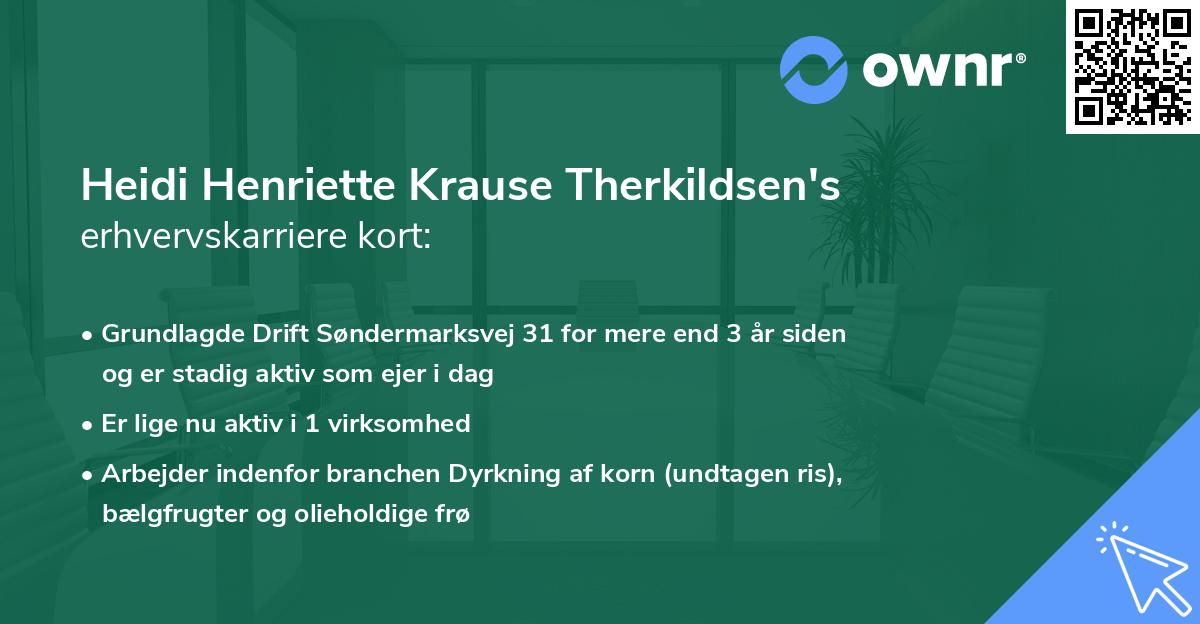 Heidi Henriette Krause Therkildsen's erhvervskarriere kort