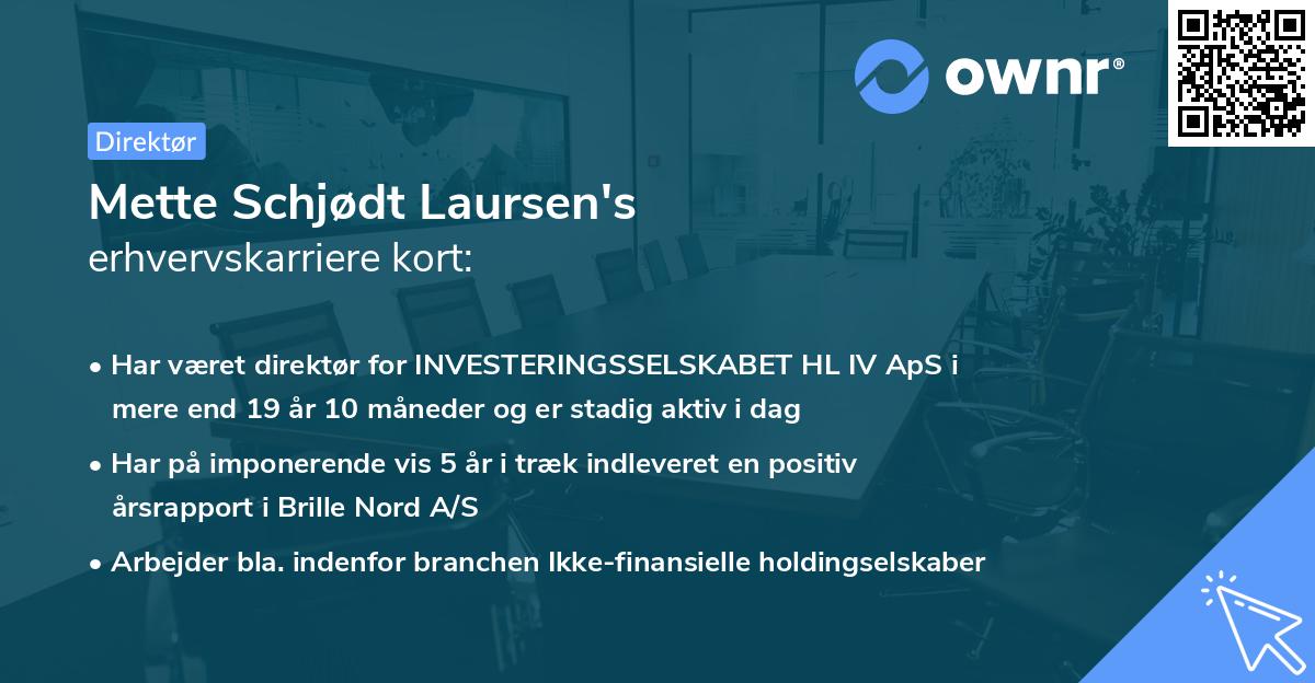 Mette Schjødt Laursen's erhvervskarriere kort