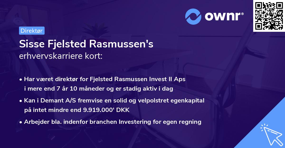 Sisse Fjelsted Rasmussen's erhvervskarriere kort
