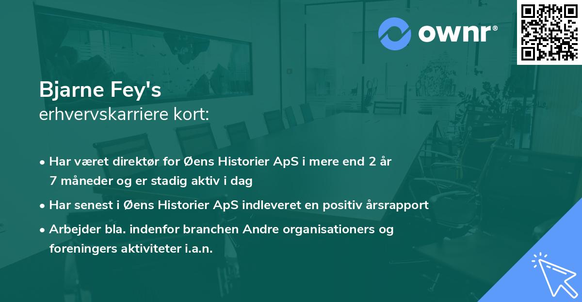 Bjarne Fey's erhvervskarriere kort
