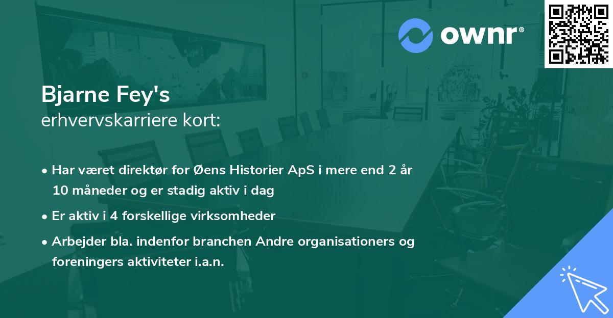 Bjarne Fey's erhvervskarriere kort