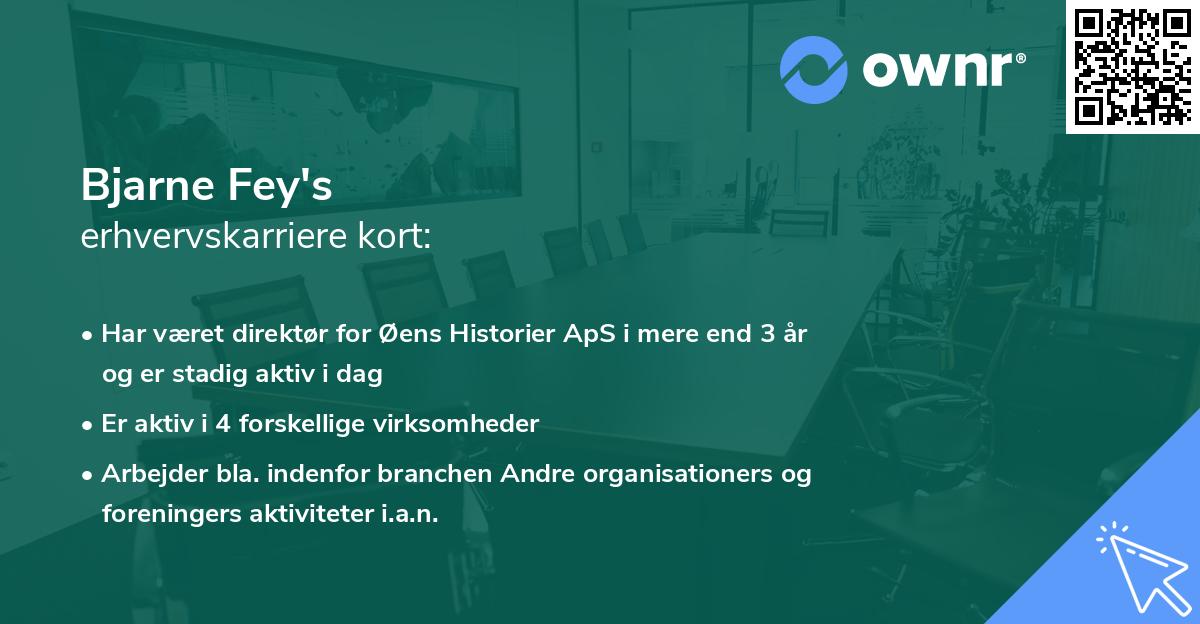 Bjarne Fey's erhvervskarriere kort
