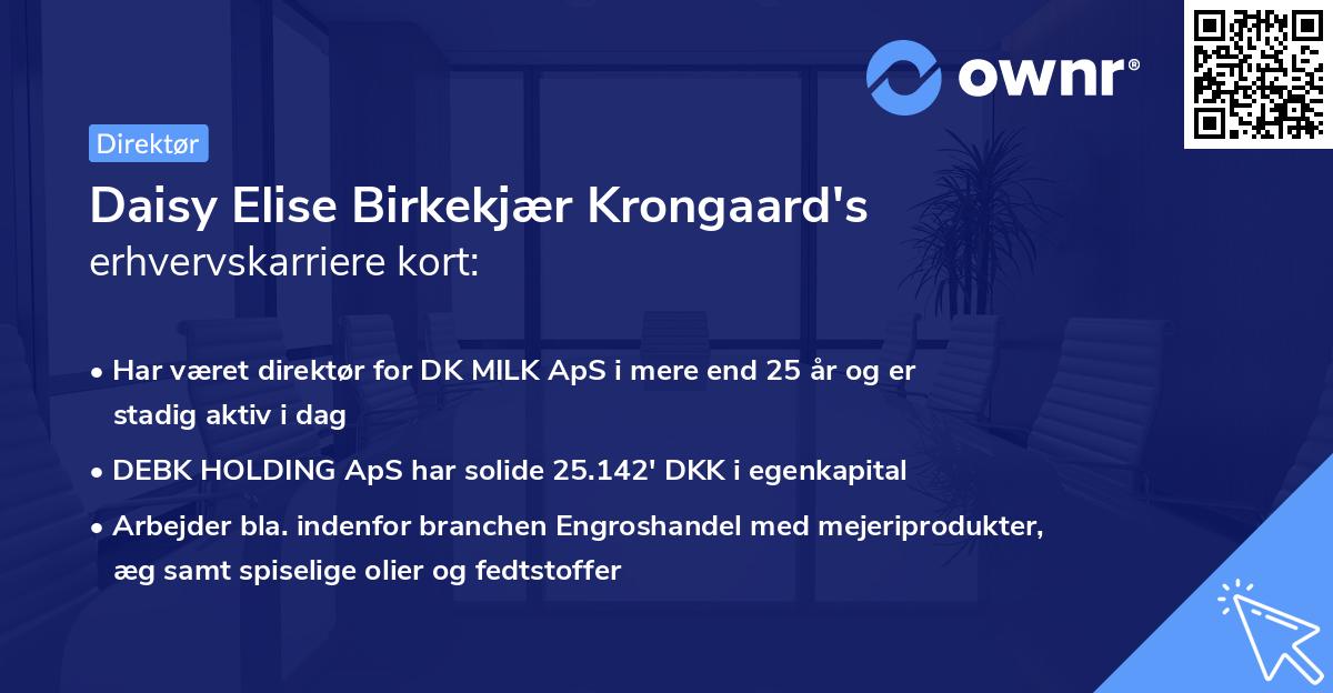 Daisy Elise Birkekjær Krongaard's erhvervskarriere kort