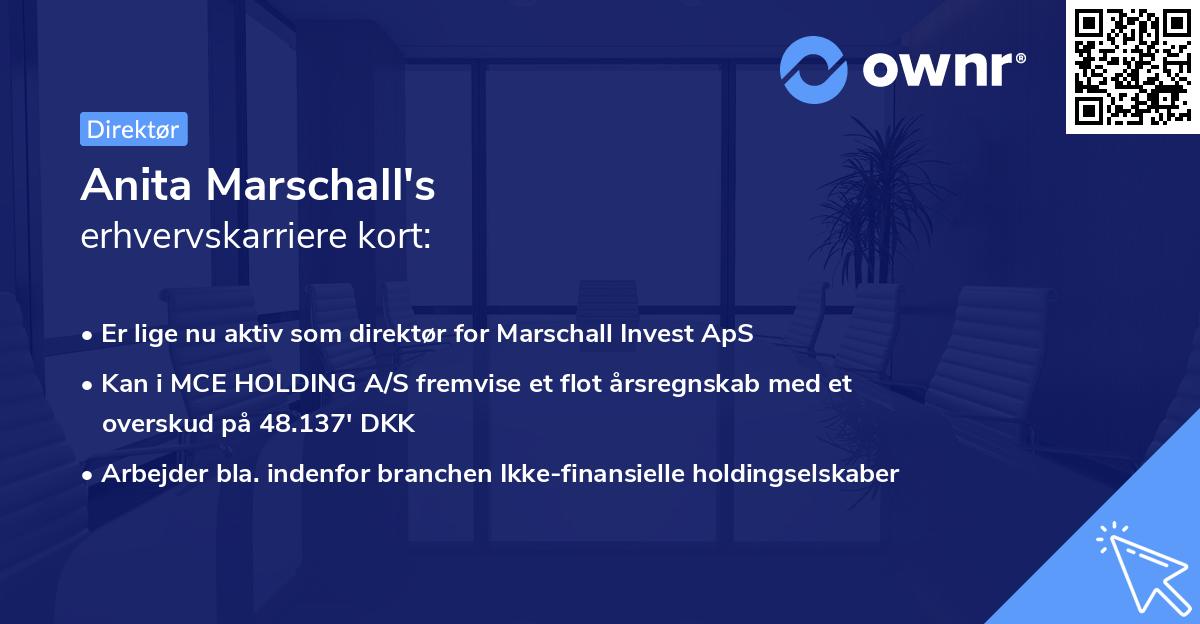 Anita Marschall's erhvervskarriere kort