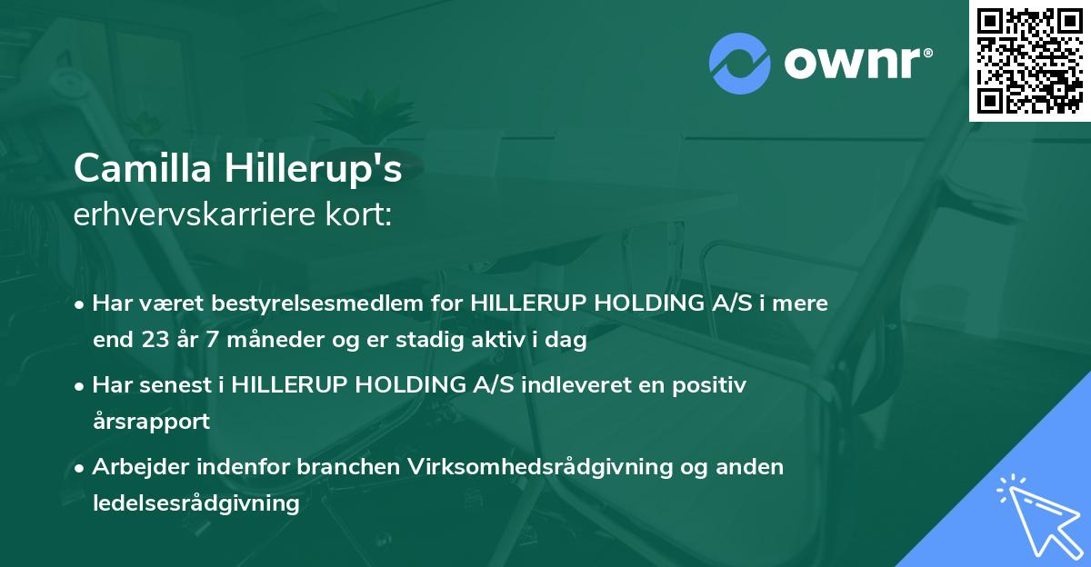 Camilla Hillerup's erhvervskarriere kort