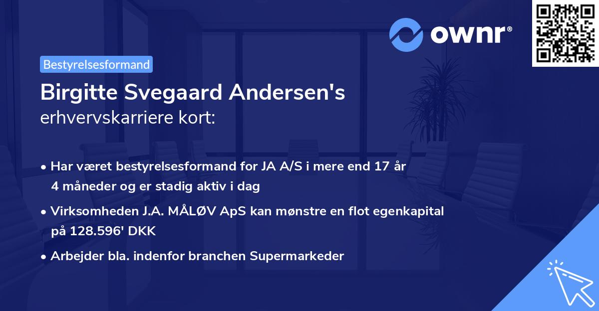 Birgitte Svegaard Andersen's erhvervskarriere kort