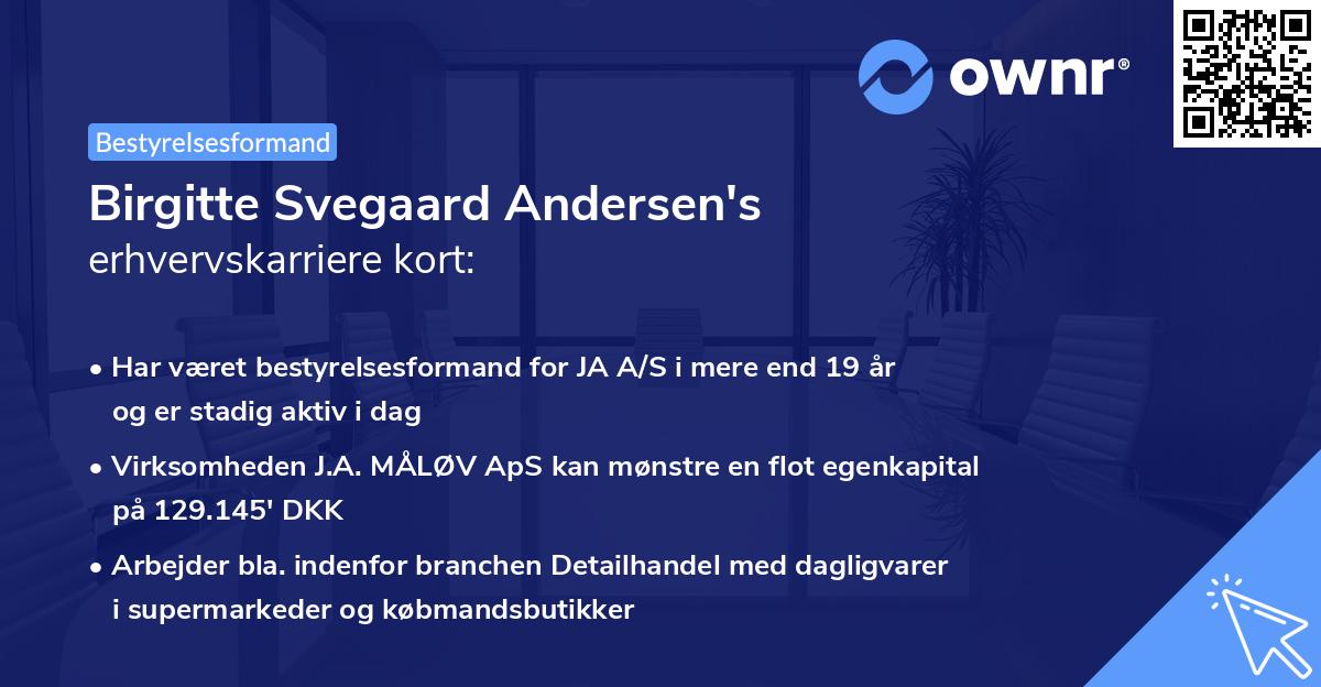 Birgitte Svegaard Andersen's erhvervskarriere kort