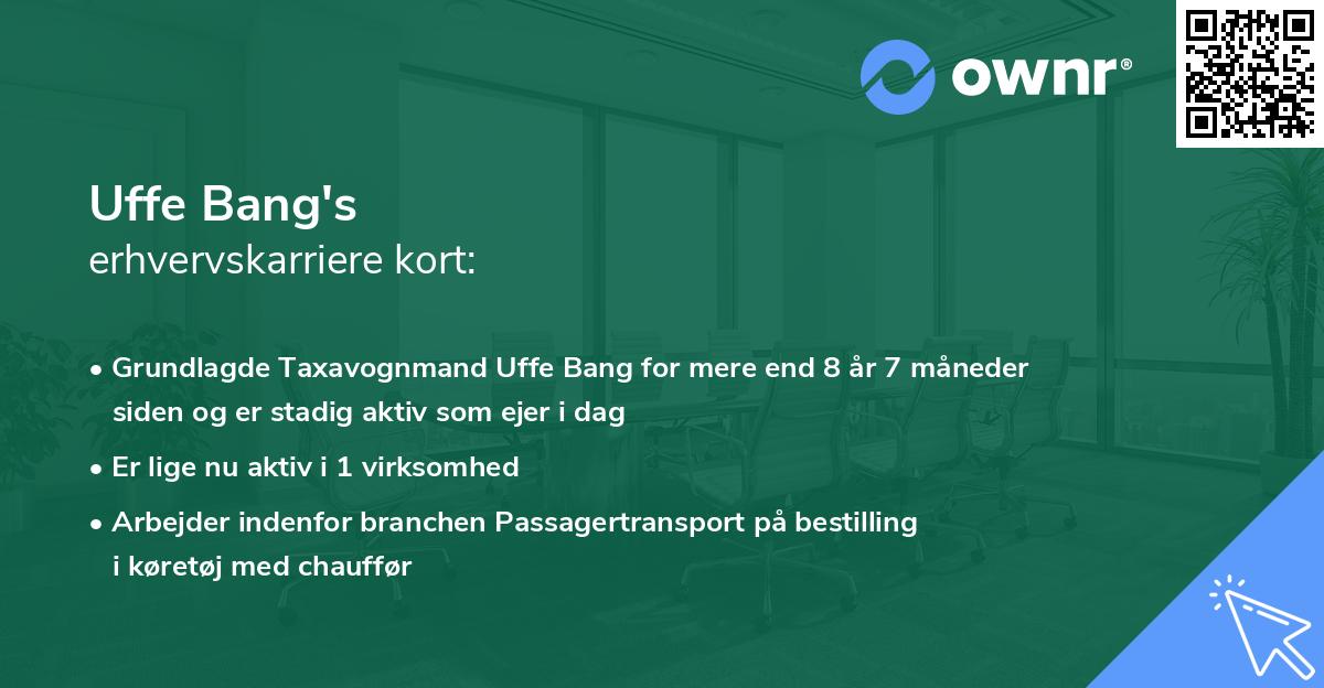 Uffe Bang's erhvervskarriere kort