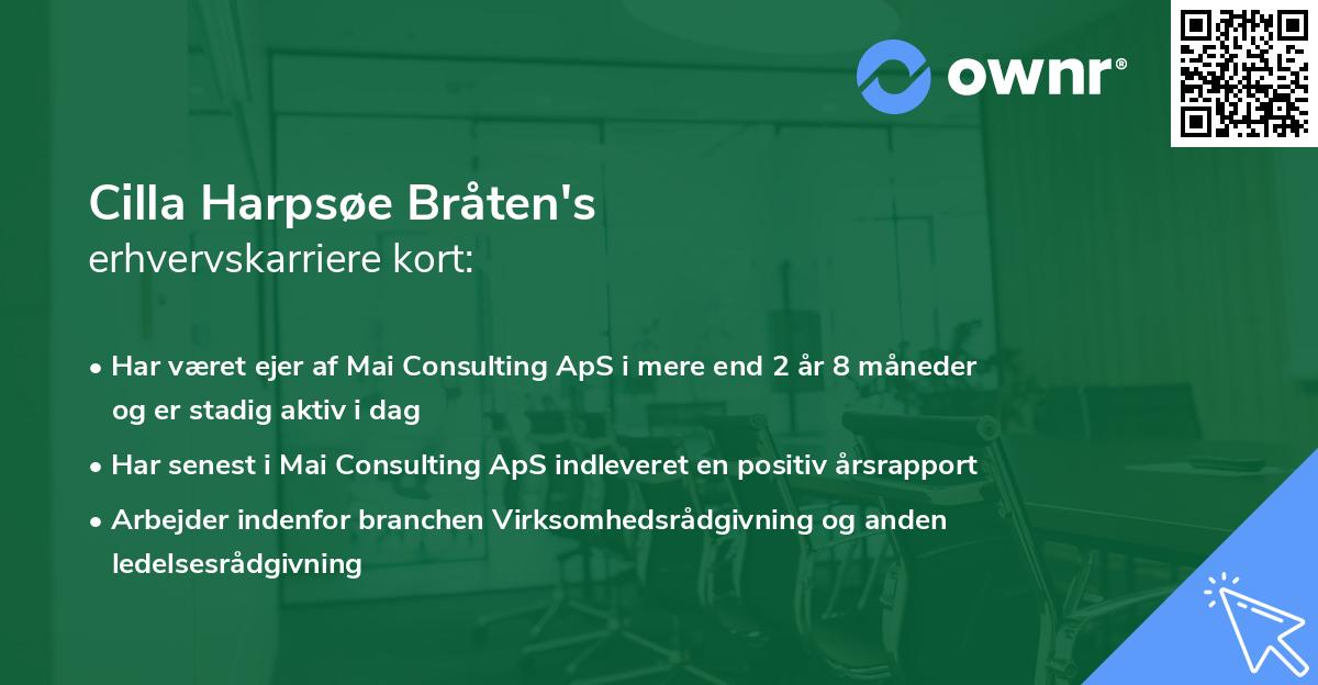 Cilla Harpsøe Bråten's erhvervskarriere kort