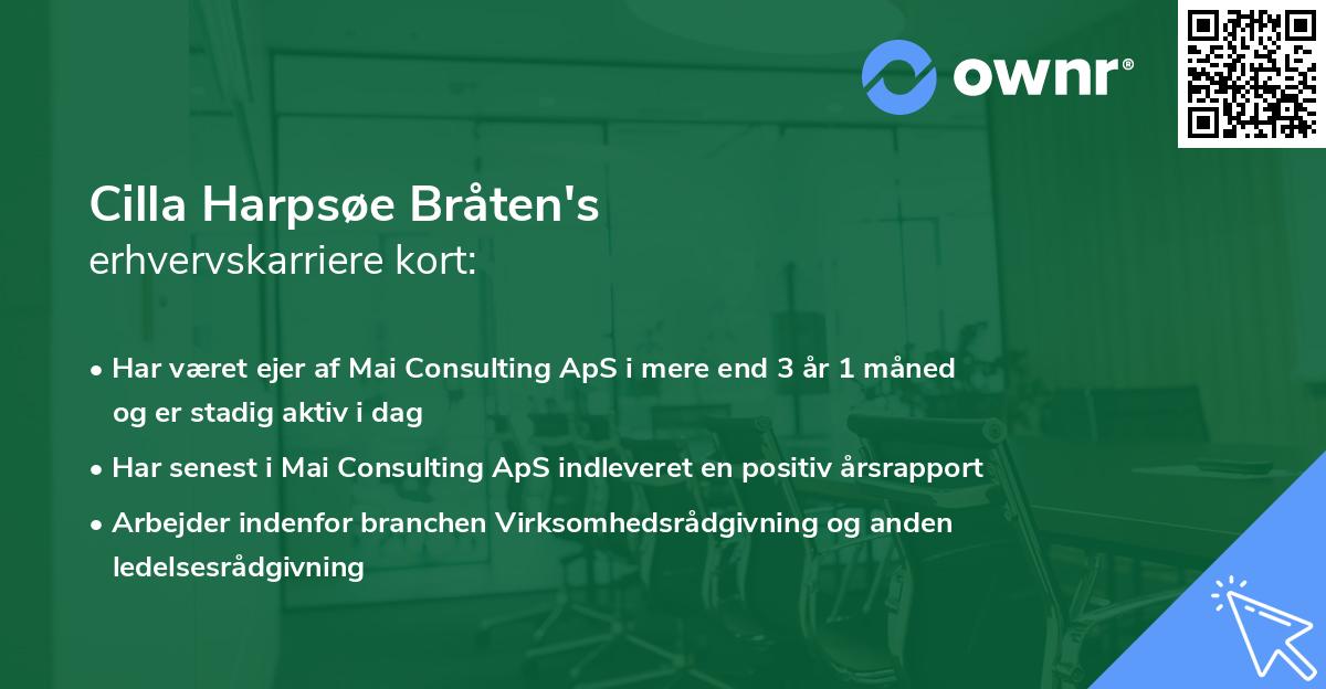 Cilla Harpsøe Bråten's erhvervskarriere kort