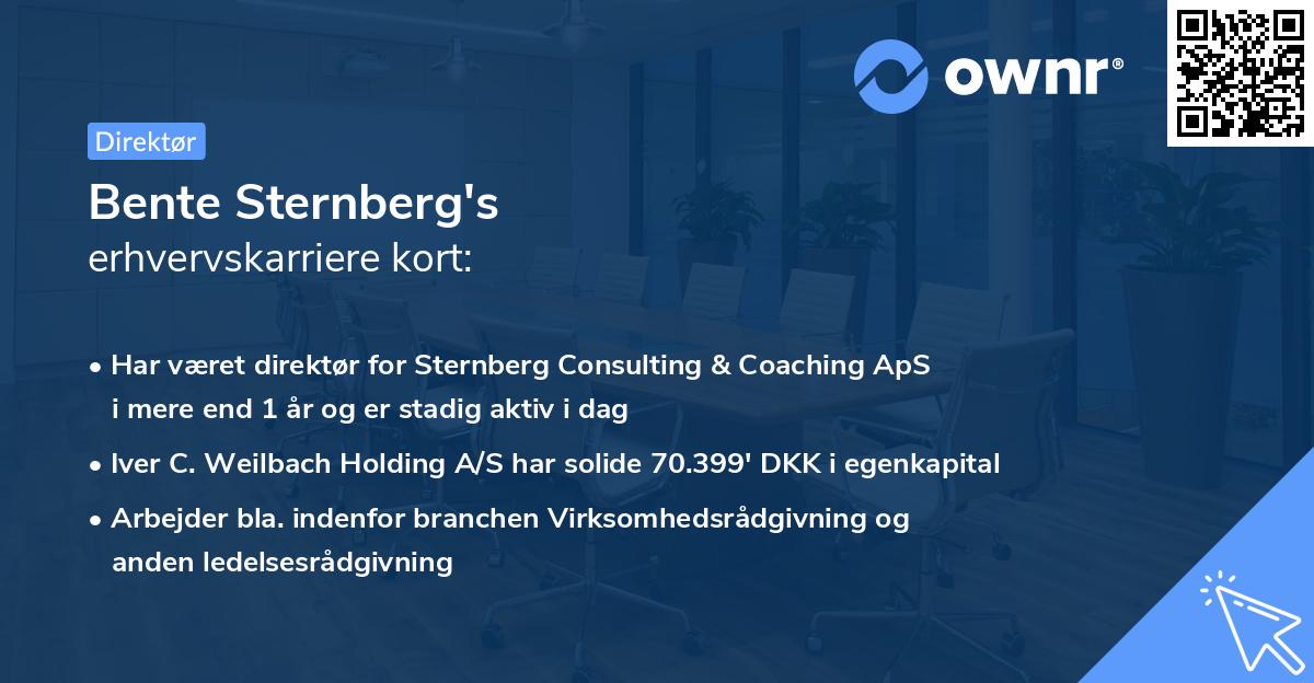 Bente Sternberg's erhvervskarriere kort