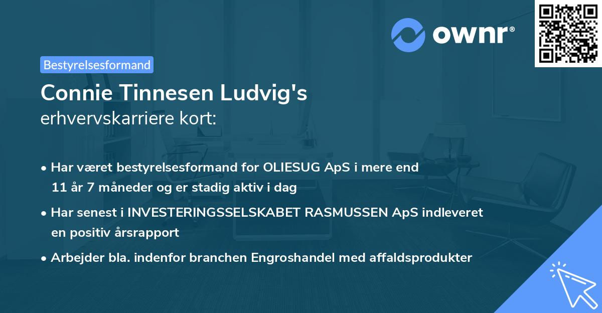 Connie Tinnesen Ludvig's erhvervskarriere kort