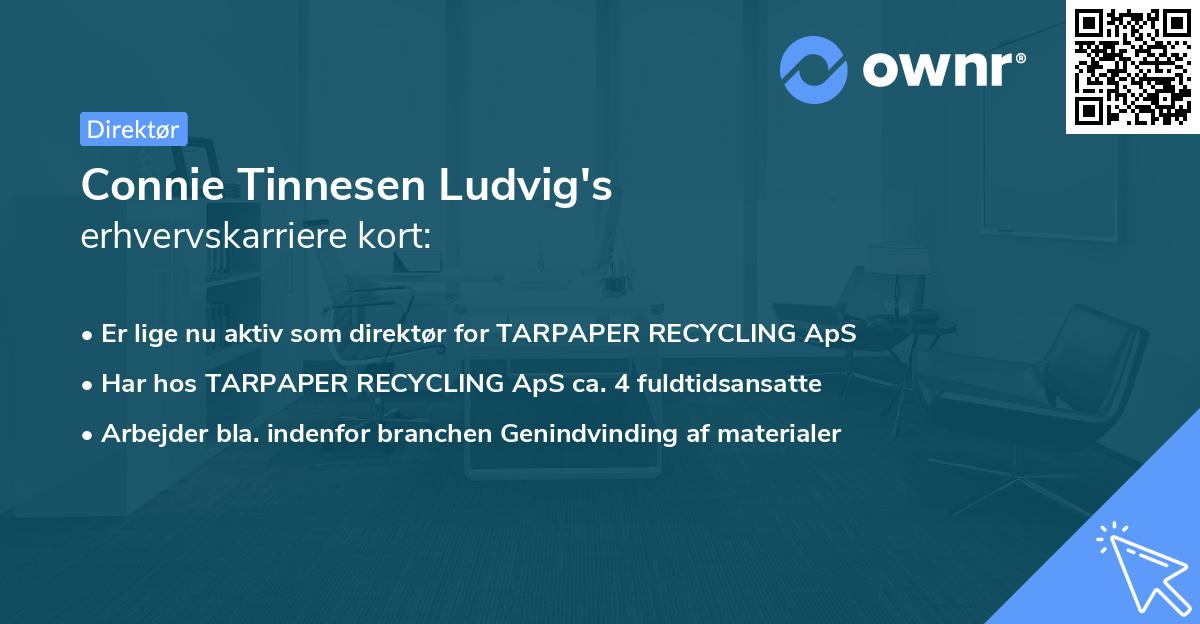 Connie Tinnesen Ludvig's erhvervskarriere kort