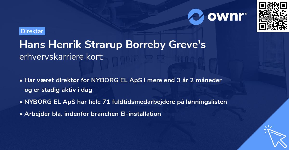 Hans Henrik Strarup Borreby Greve's erhvervskarriere kort
