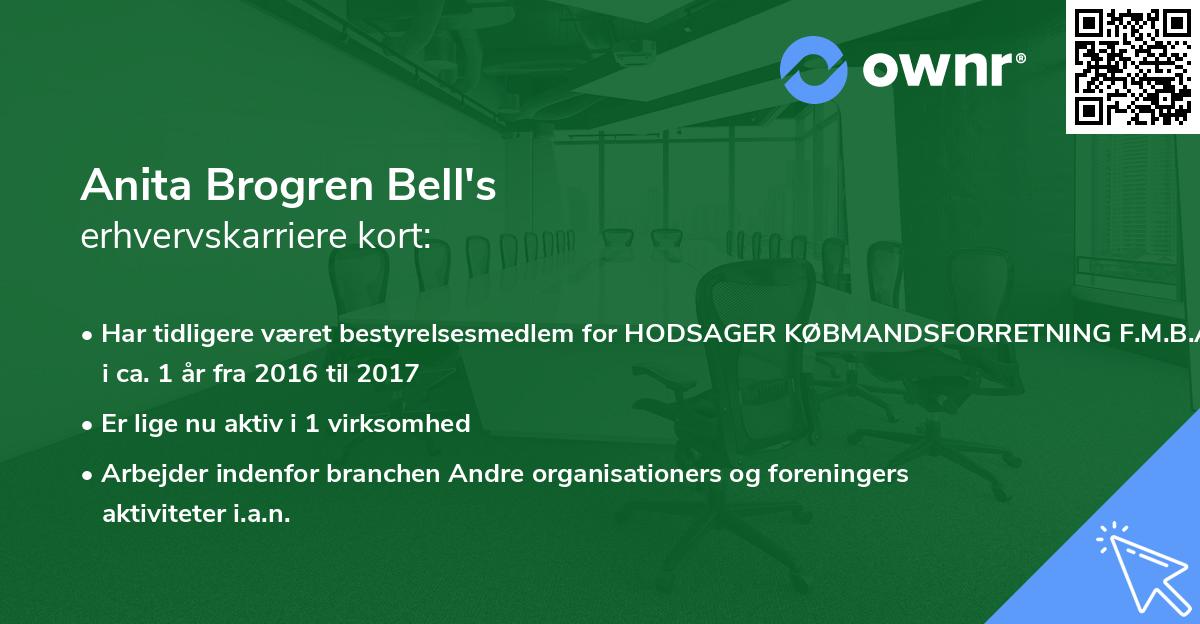 Anita Brogren Bell's erhvervskarriere kort