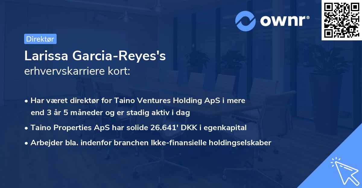 Larissa Garcia-Reyes's erhvervskarriere kort