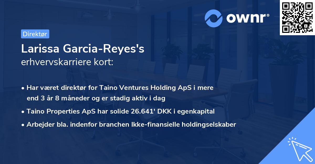 Larissa Garcia-Reyes's erhvervskarriere kort