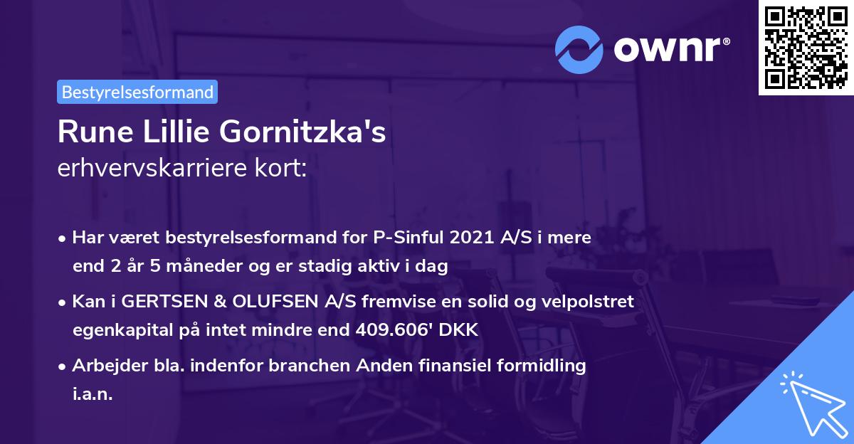 Rune Lillie Gornitzka's erhvervskarriere kort