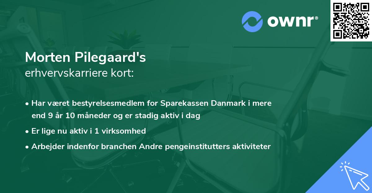 Morten Pilegaard's erhvervskarriere kort