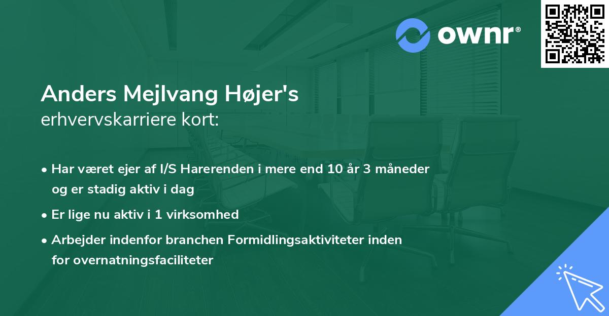 Anders Mejlvang Højer's erhvervskarriere kort