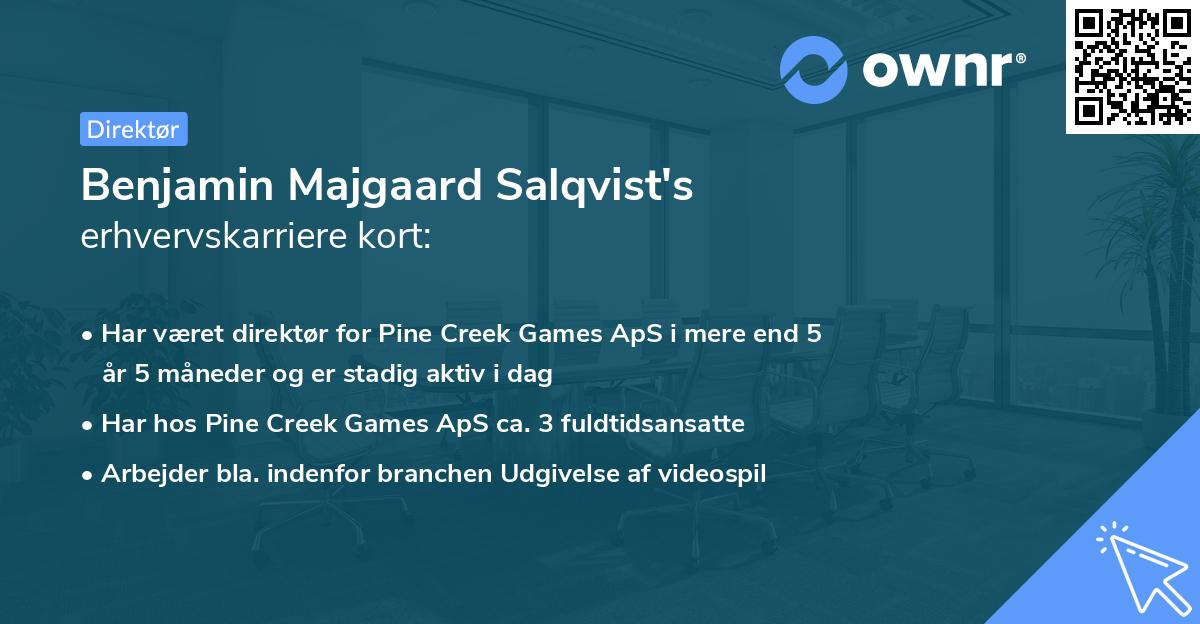 Benjamin Majgaard Salqvist's erhvervskarriere kort