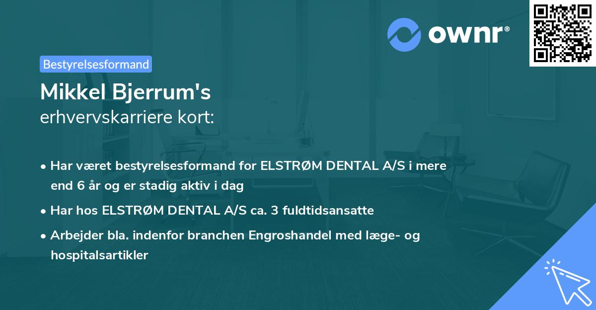 Mikkel Bjerrum's erhvervskarriere kort