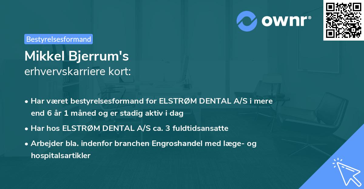 Mikkel Bjerrum's erhvervskarriere kort